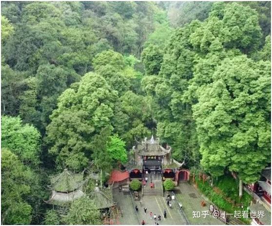攻略，四川5A景区之—青城山-都江堰 - 知乎