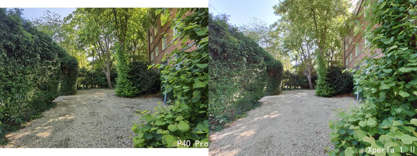 华为p40pro与索尼xperia1Ⅱ拍照对比索尼仍是稍逊一筹