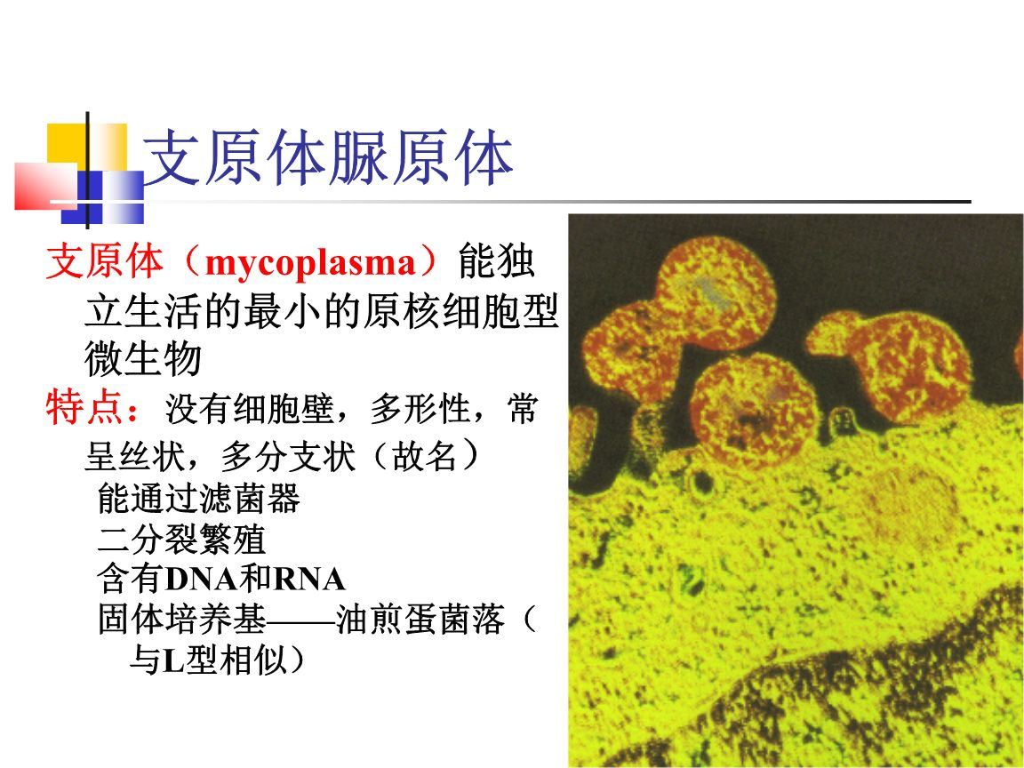 谁来帮帮我的孩子,支原体患者的哭诉. - 知乎