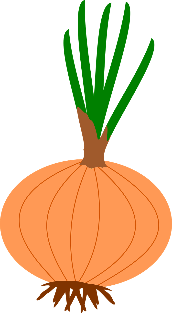 室内放洋葱有什么好处