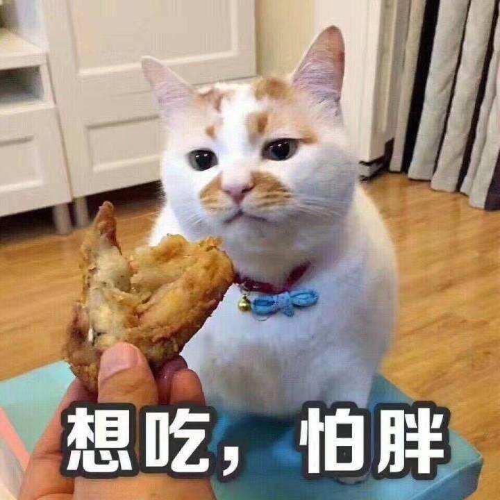 v2-2a8c9e11930844cda40c90beee485628_r.jpg