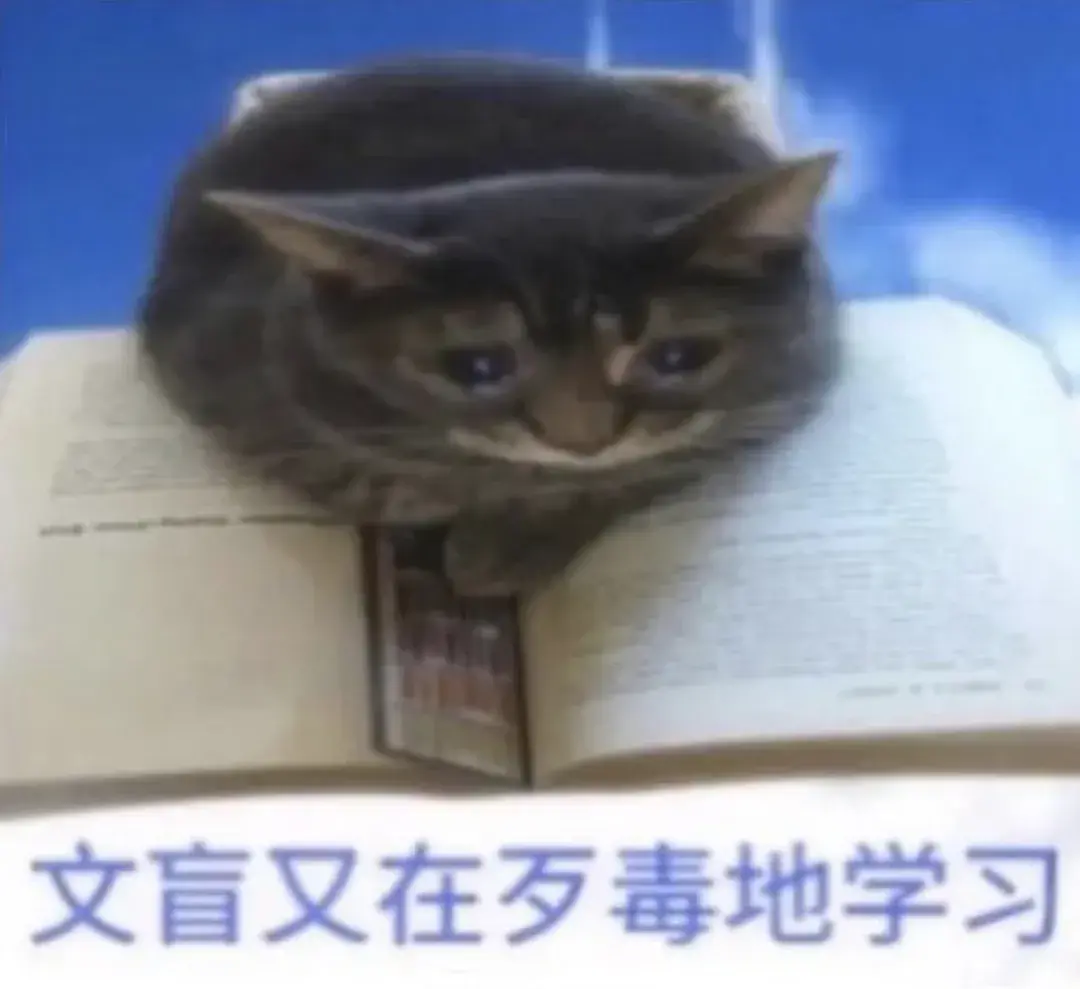 你再敢用阅读要"精读"敷衍我试试呢?