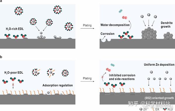 李兆乾副研究员、胡林华研究员,张红副教授和曹国忠教授,ACS Nano观点:二氧六环电解液促进锌离子电池中锌负极(002)晶面织构优势生长并 ...