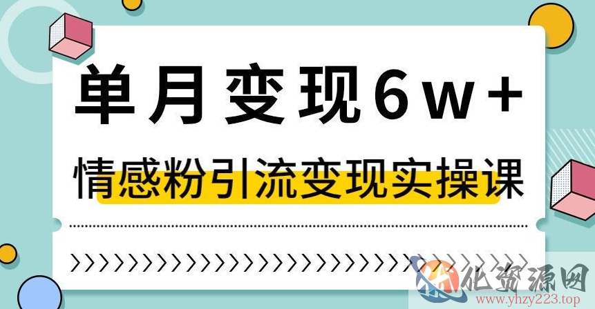 单月变现6W+，抖音情感粉引流变现实操课，小白可做，轻松上手，独家赛道【揭秘】