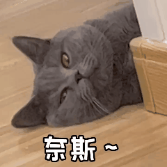 微信制作动态图_动态微信制作图片软件_动态微信制作图片大全