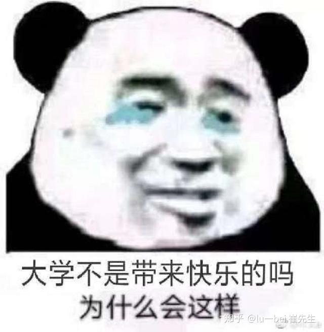 可不可以用一组表情包来描述一下你的大学生活