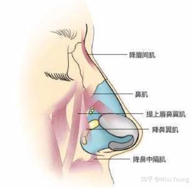 被路人拍到赘肉溢出裙子的杨紫怎么复胖成这样了难道
