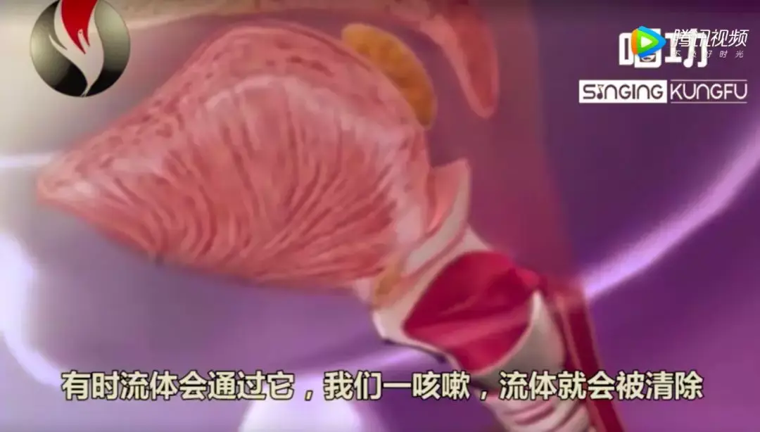 歌者必看!声带是如何工作的? - 知乎
