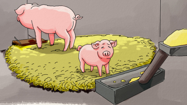 智猪博弈爱拼也是有价格的