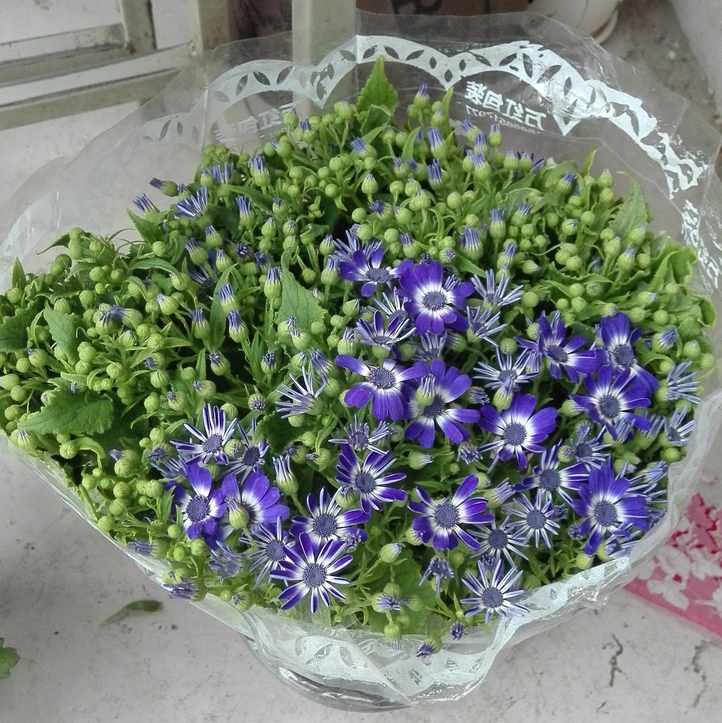 WebBug靶场介绍篇 — 01 WebBug靶场介绍篇 — 01