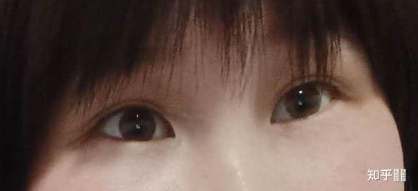 真正的猫眼像猫一样的眼睛是什么样的