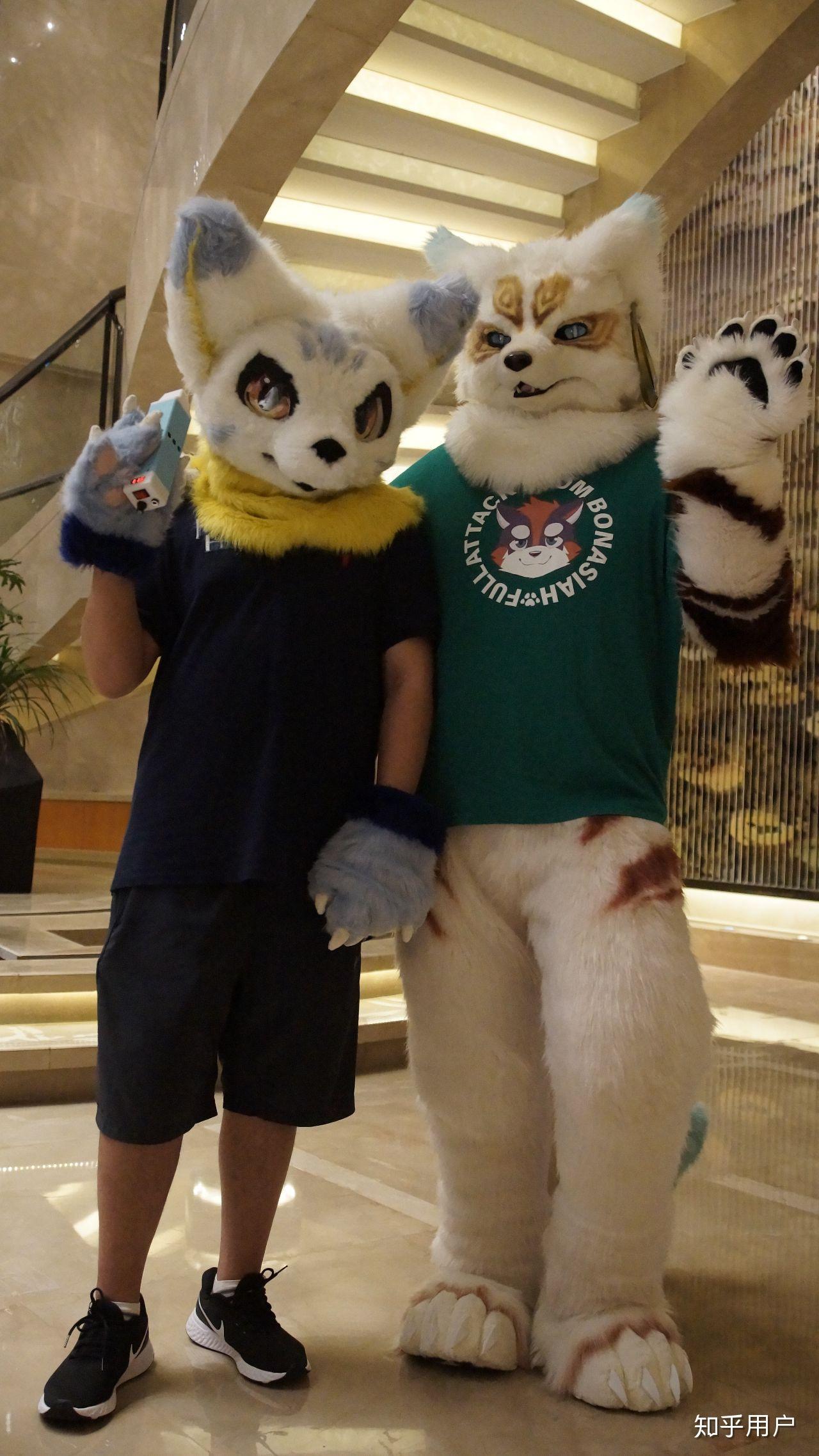 到底一个爱好得喜欢上什么程度才能算是上瘾? - 知乎