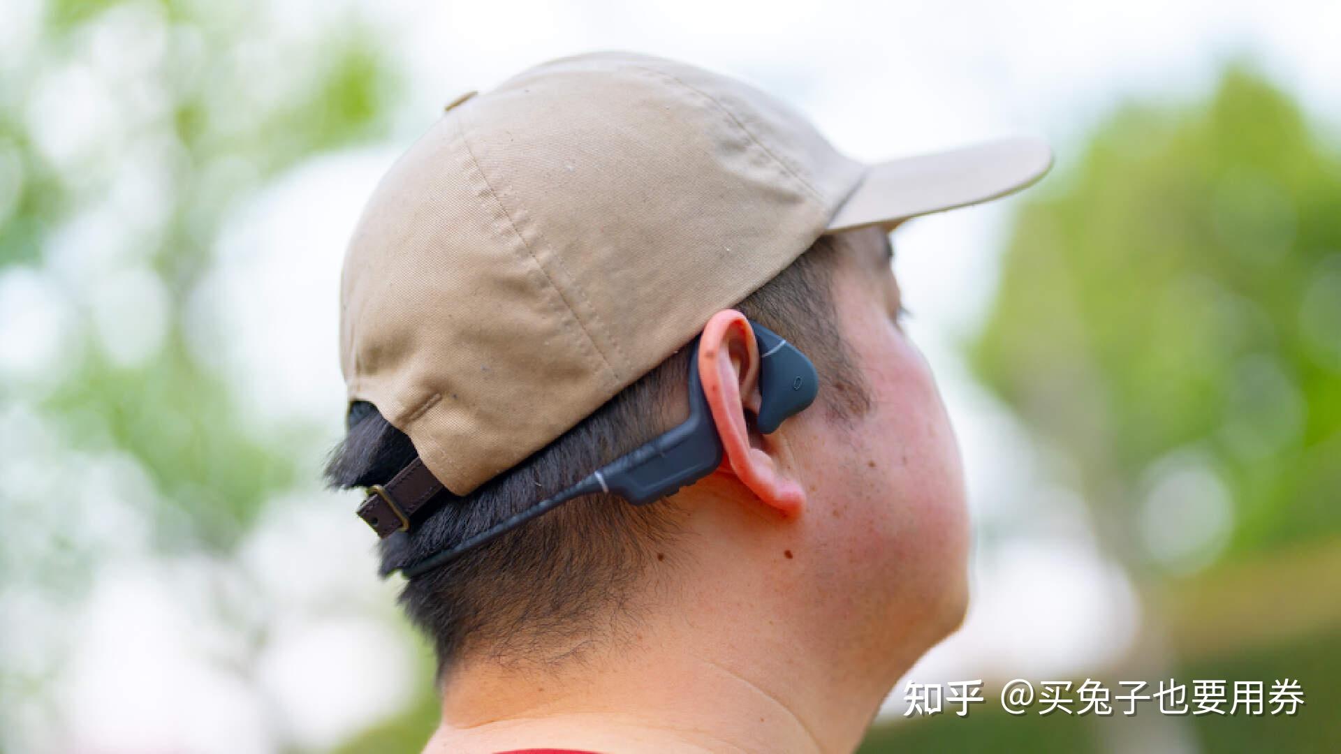 壁纸 动物 鸟 鸟类 雀 1920_1080