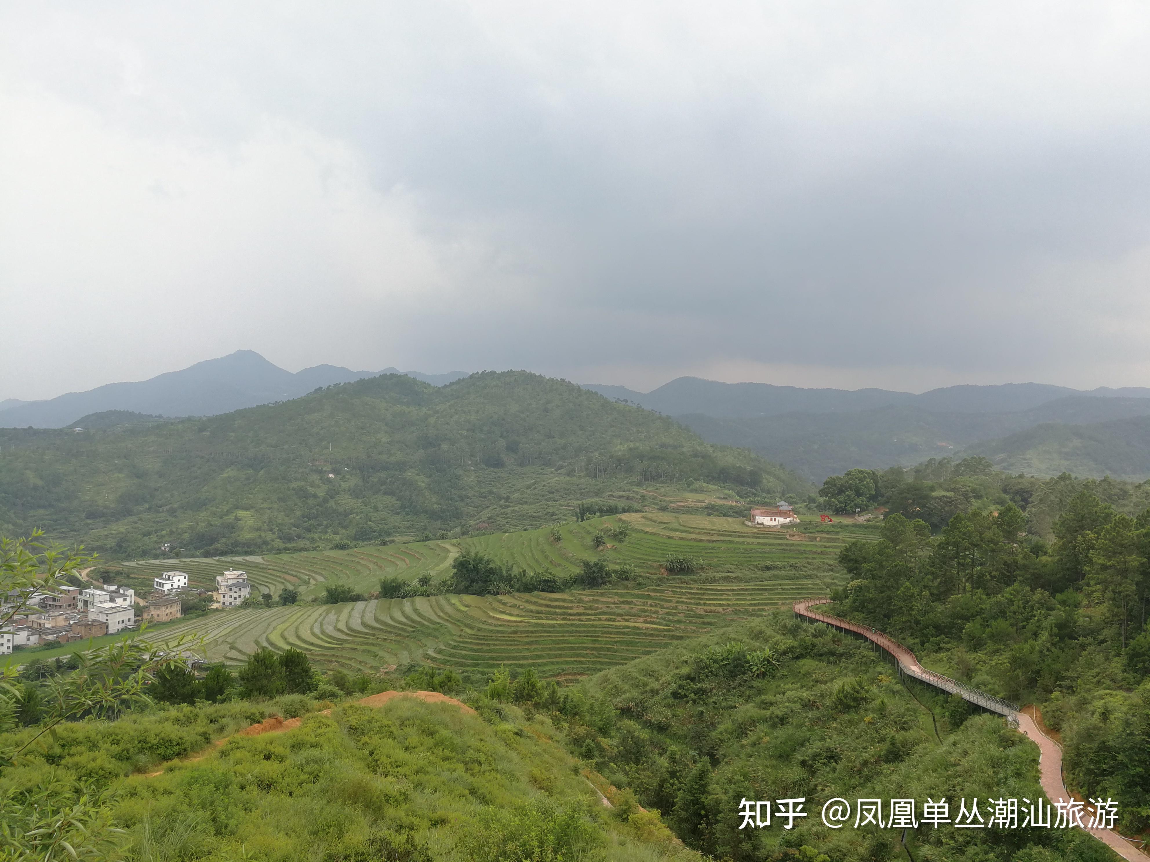 大埔坪山梯田旅游攻略