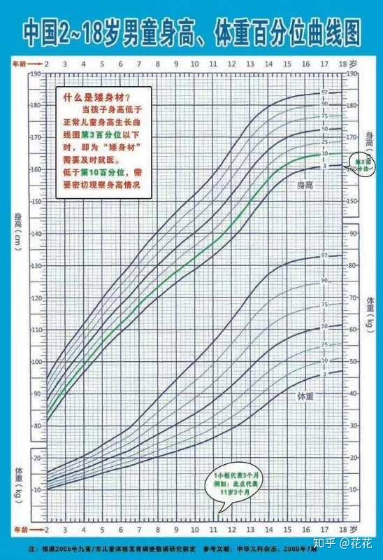 548_800竖版 竖屏
