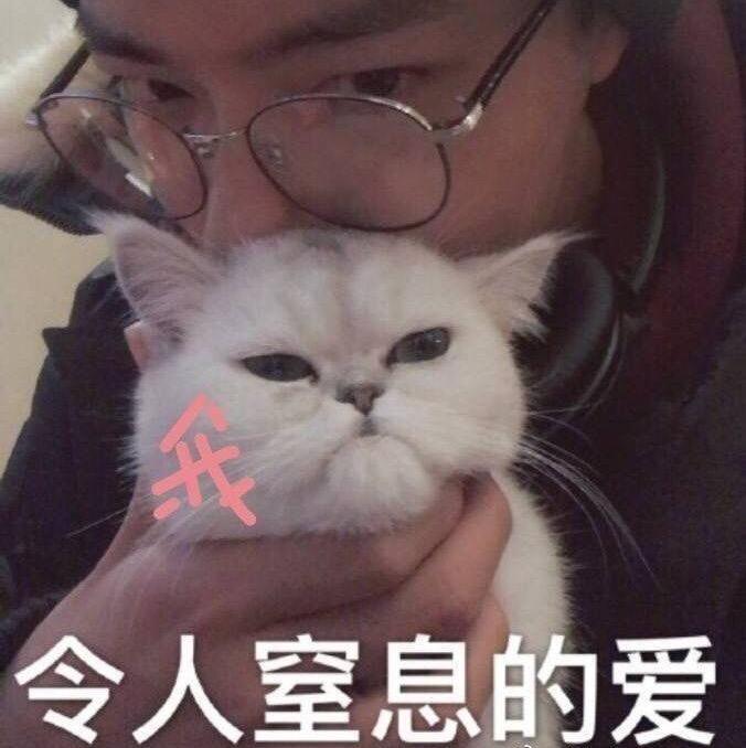 如何用一个隐晦的头像表达喜欢肖战
