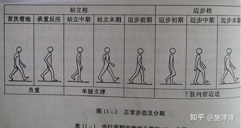 正常人步态分析指标有哪些？ - 知乎