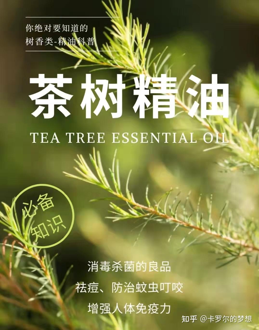 茶树精油teatreeoil有哪些妙用