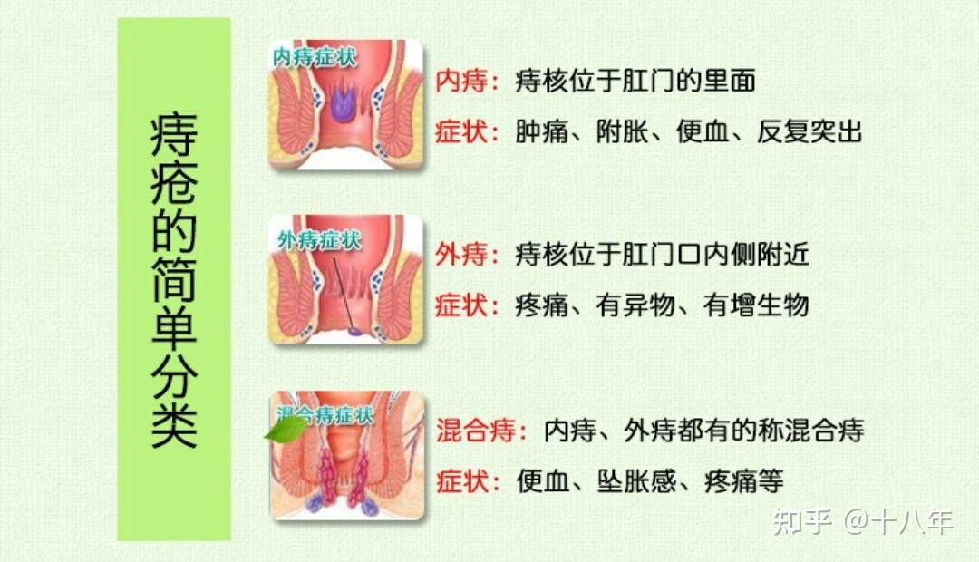 肛门长肉球了怎么办