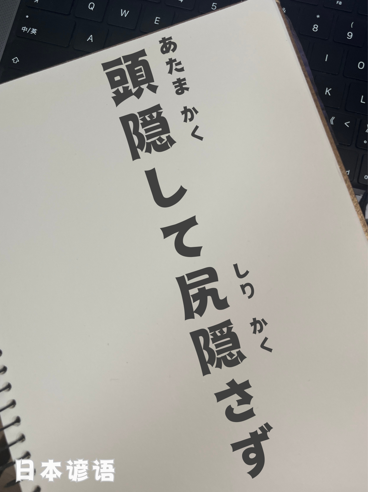 请输入图片描述