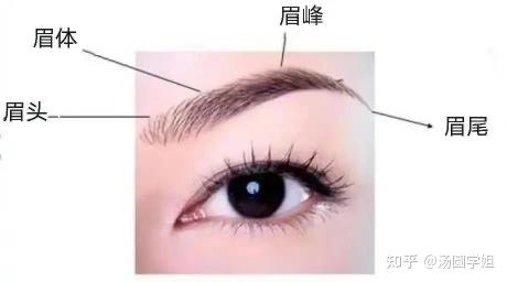 眉弓做了有什么变化?什么人适合做眉弓?一般选什么材料合适?如何找到靠谱的眉弓医生?【一文读懂眉弓整形指南】 - 知乎