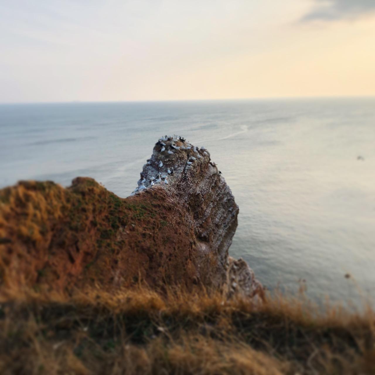 北海新区房价走势