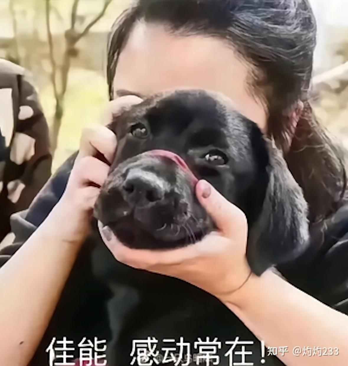 荣耀magic6至臻版实际使用体验怎么样magic6四款手机哪个更值得入手