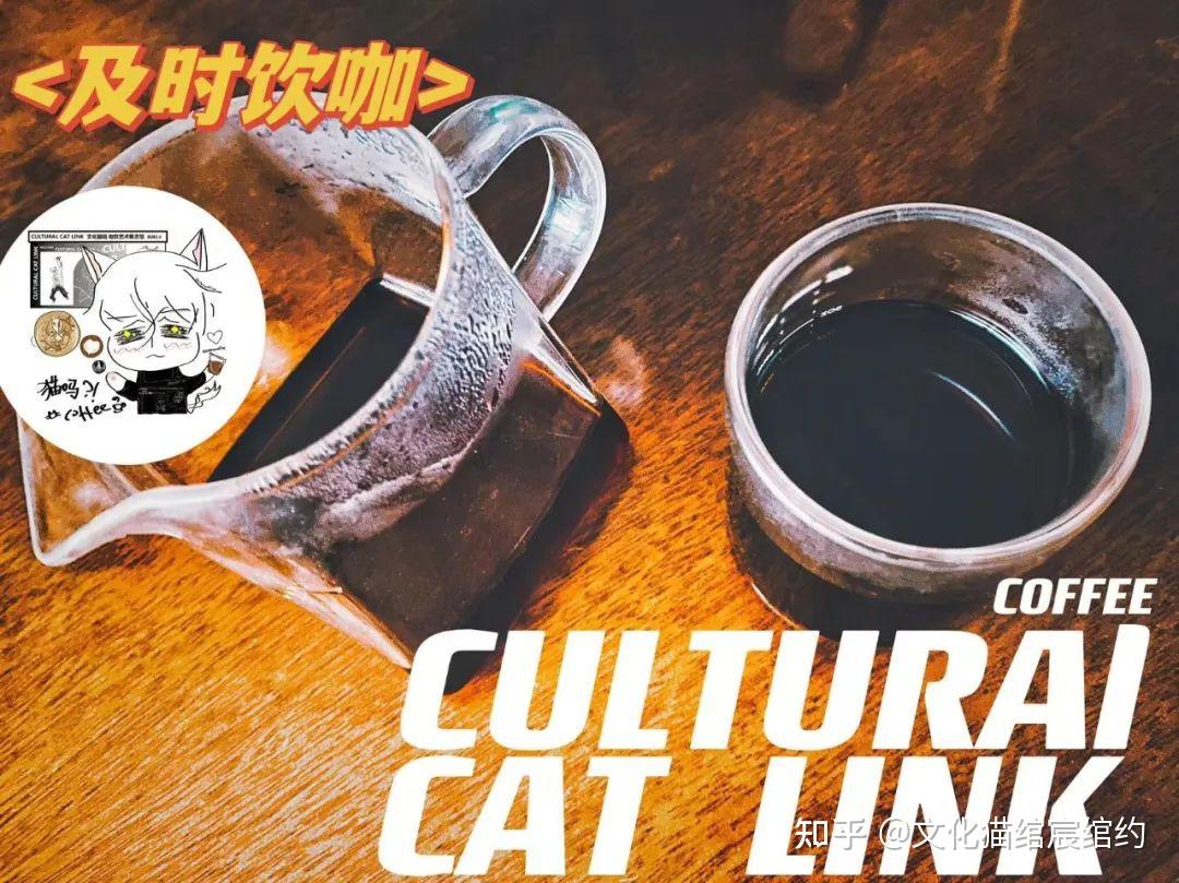 CULTURAL CAT LINK No 01 cultural-cat-link-no-01