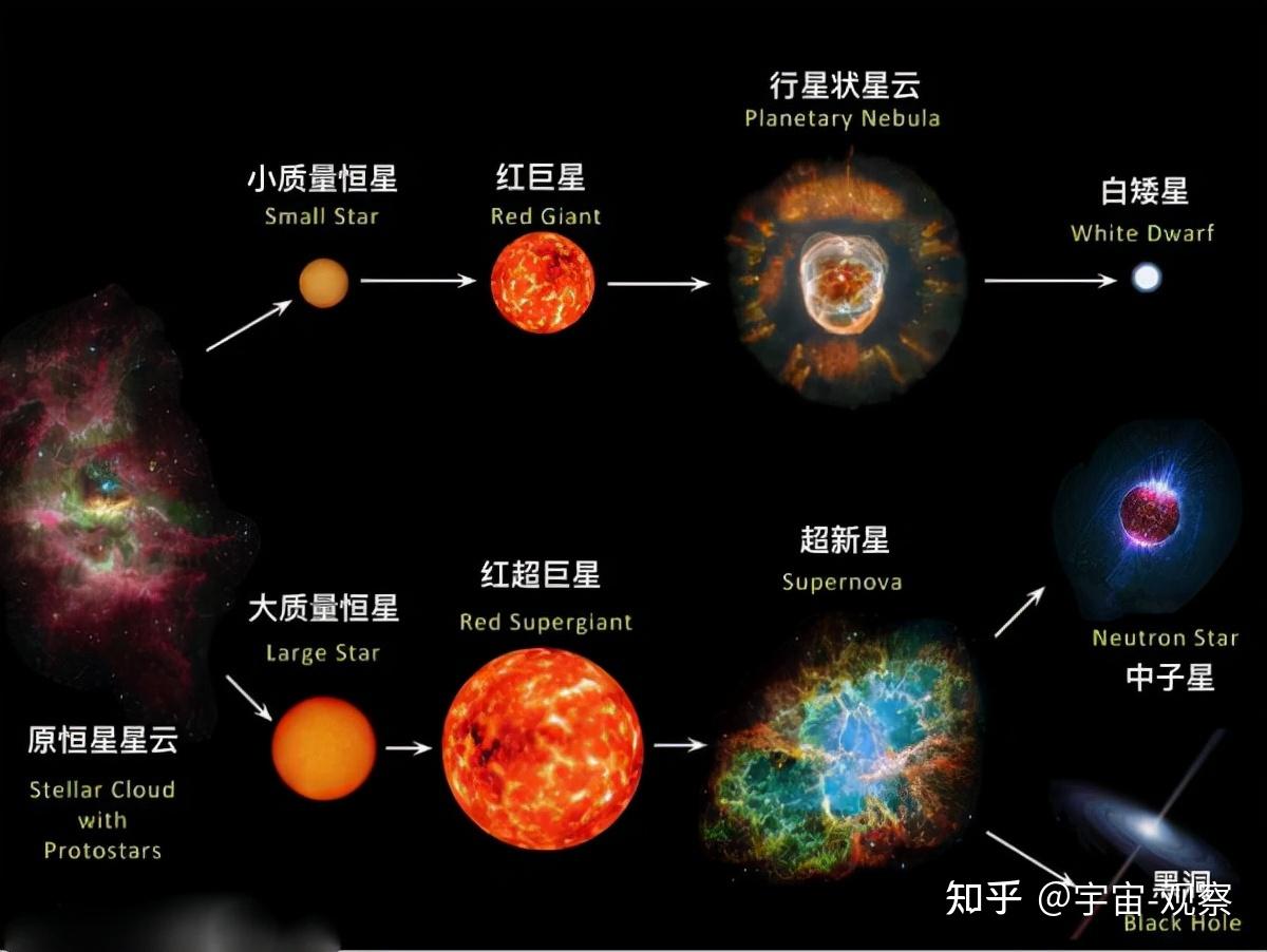 中子星vs蓝特超巨星图片