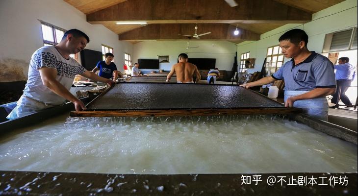 不止看文化|非遗之徽州皮纸制作技艺 - 知乎