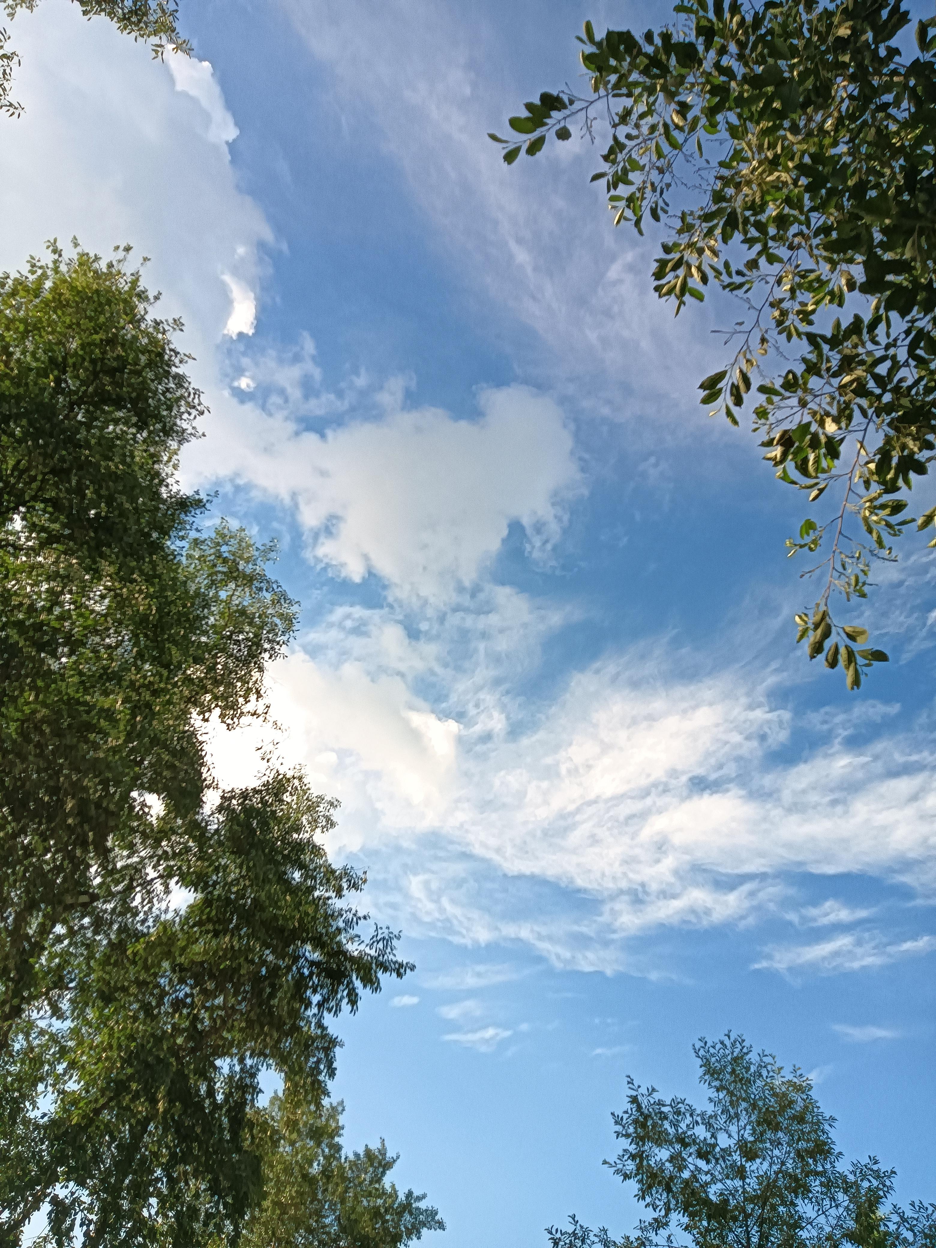 能分享拍的天空吗