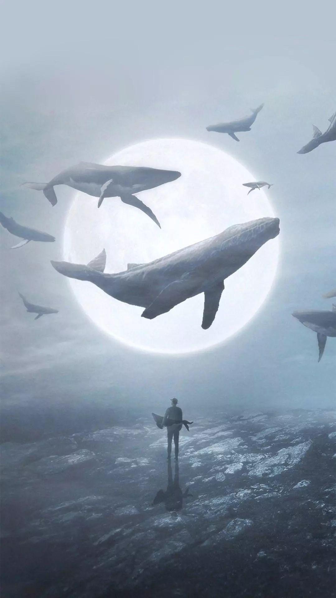 意境幻想手机壁纸 知乎 意境幻想手机壁纸 知乎
