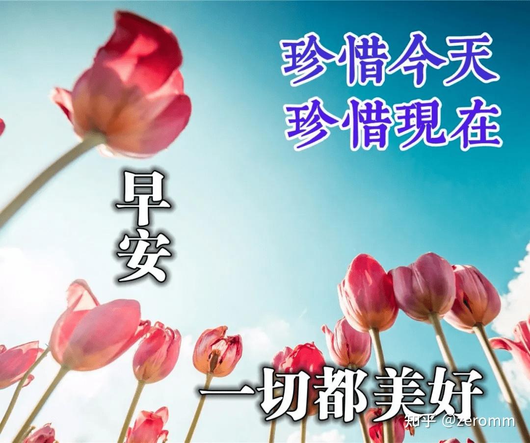 干净治愈的早安励志简短句子,很美的早上好问候语祝福图片带字