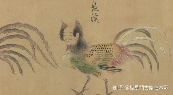 极星門古籍善本影印推荐~怪奇鸟兽图卷 - 知乎