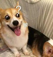 v2-2b36cde9633d67aa20829db53a65def4_b.jpg ChatGPT:情感救星?还是心理替代品?一文揭秘它的三大优点与三大不足