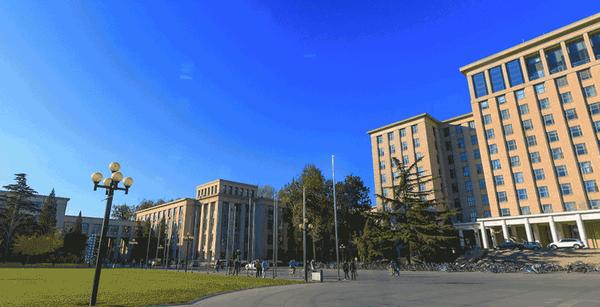 五一还没计划？这几个网站让你足不出户，“云游”世界