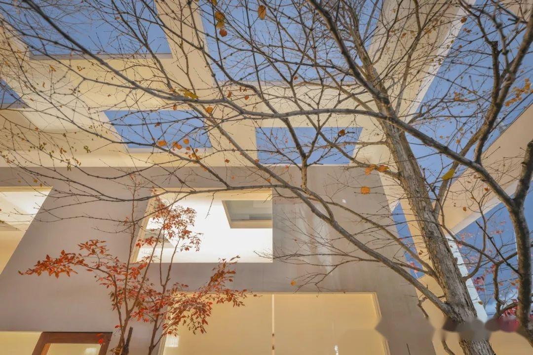 当代建筑059|house n |藤本壮介 - 知乎