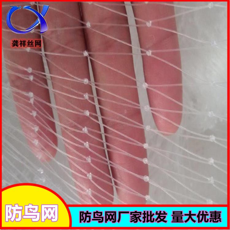 葡萄果园尼龙防鸟网15位清朝皇室后裔的明星