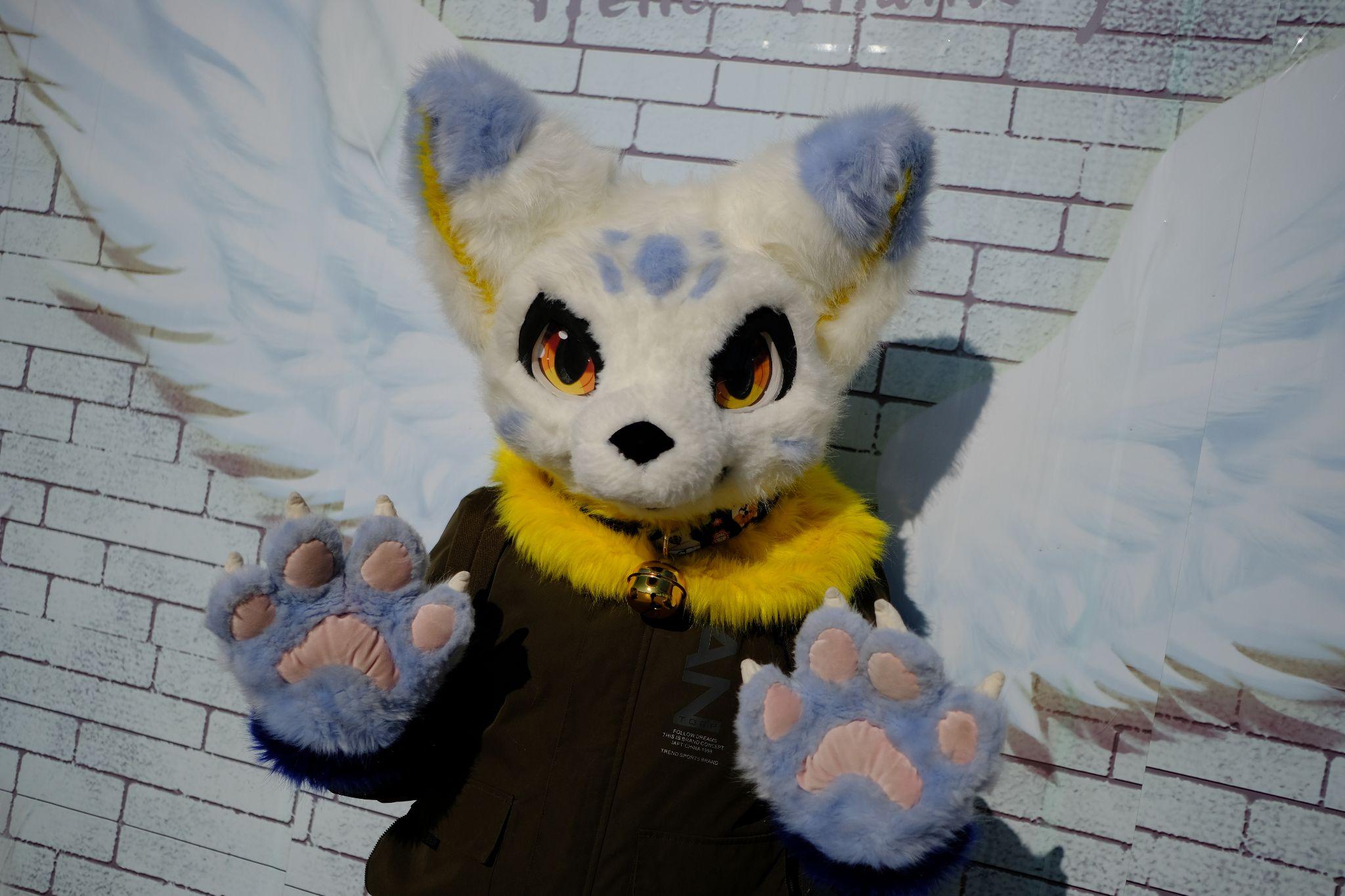 有没有人有好看的或萌的兽装(furry)图片? - 知乎