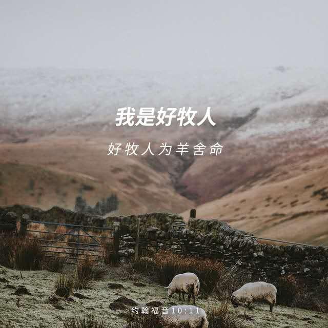 诗篇第23篇 耶和华是我的牧者 大卫的诗 知乎