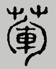 荤到底是什么 - 知乎