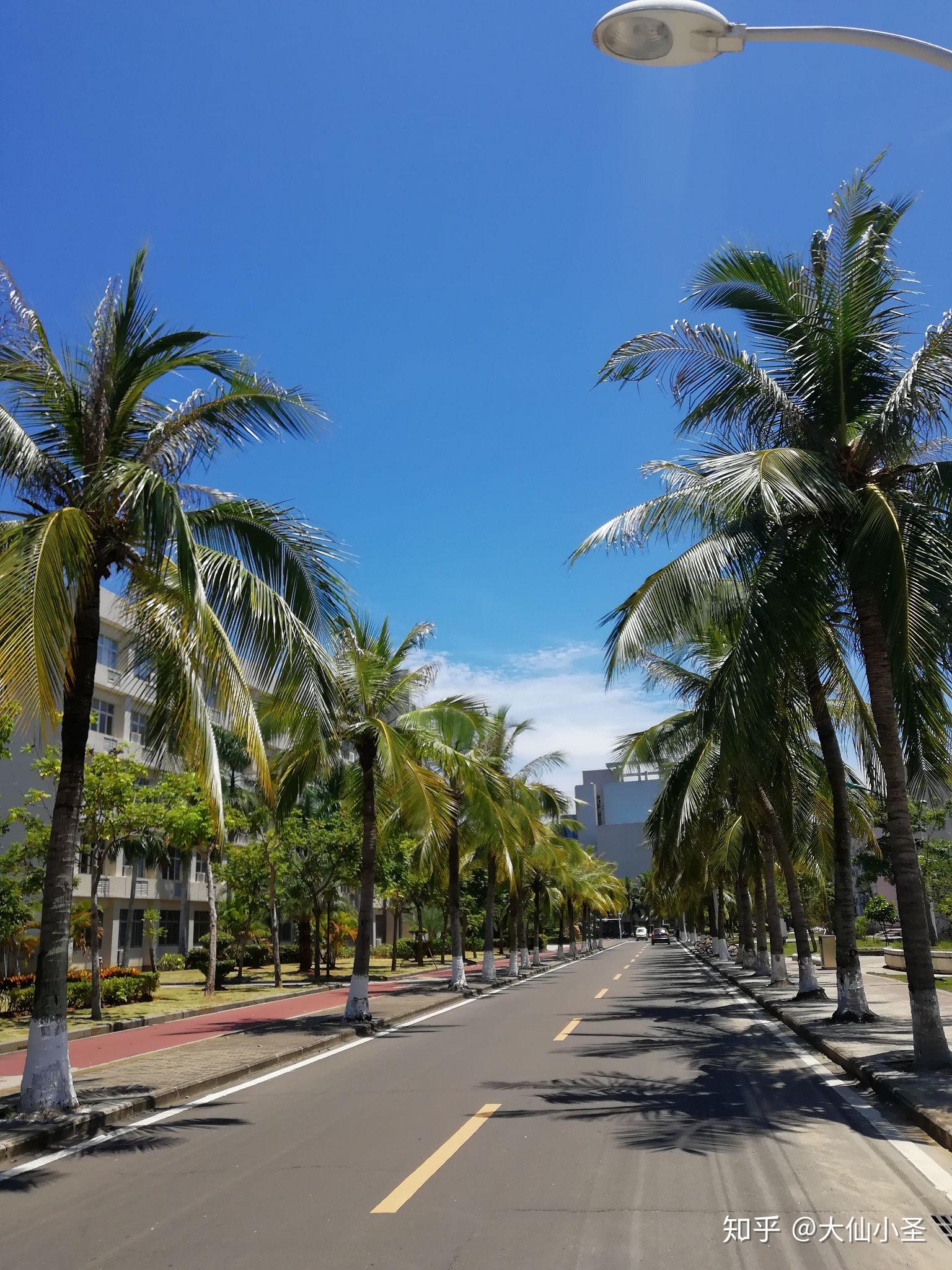 文科生考海南大学怎么样? - 知乎