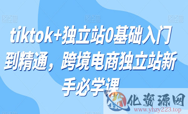 《tiktok+独立站0基础入门到精通》跨境电商独立站新手必学课_wwz