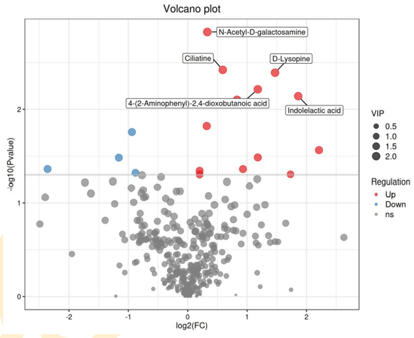 代谢组学报告怎么看？ - 知乎