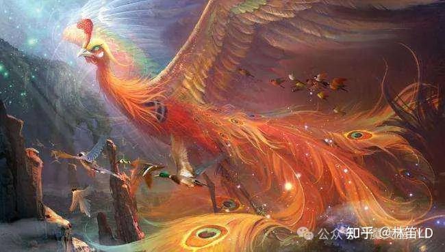 中国神鸟——浑身冒火的朱雀 - 知乎