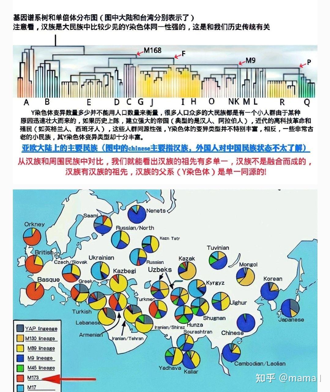 纯汉族「汉族血统纯正」 - 知乎