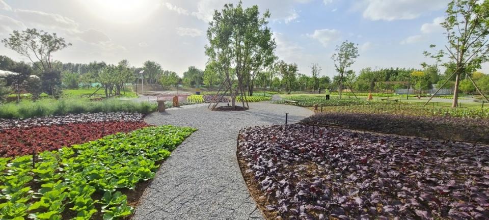 包含核心景觀區2萬平方米,苗圃踏青區及櫻花大道8萬餘平方米;良鄉蔬藝