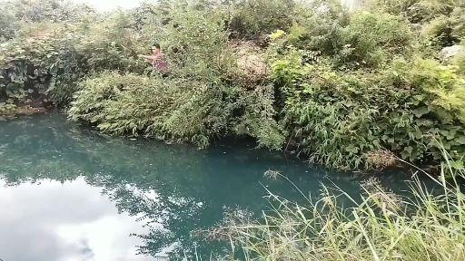 好几天没出门钓鱼,手痒的小东还是不畏惧寒冷,狂拉鲫鱼,好过瘾 - 知乎