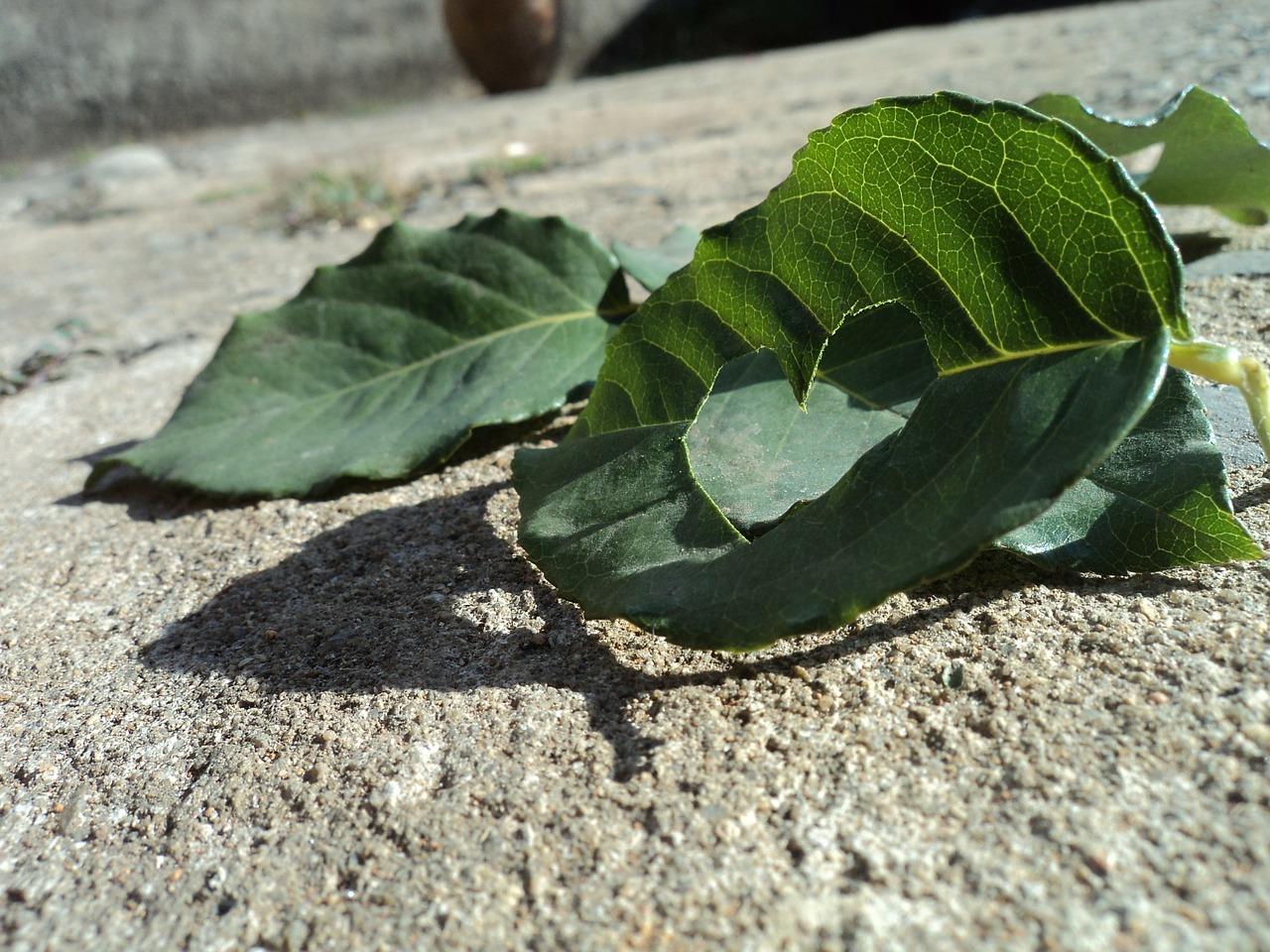 pvc波音软片怎么贴