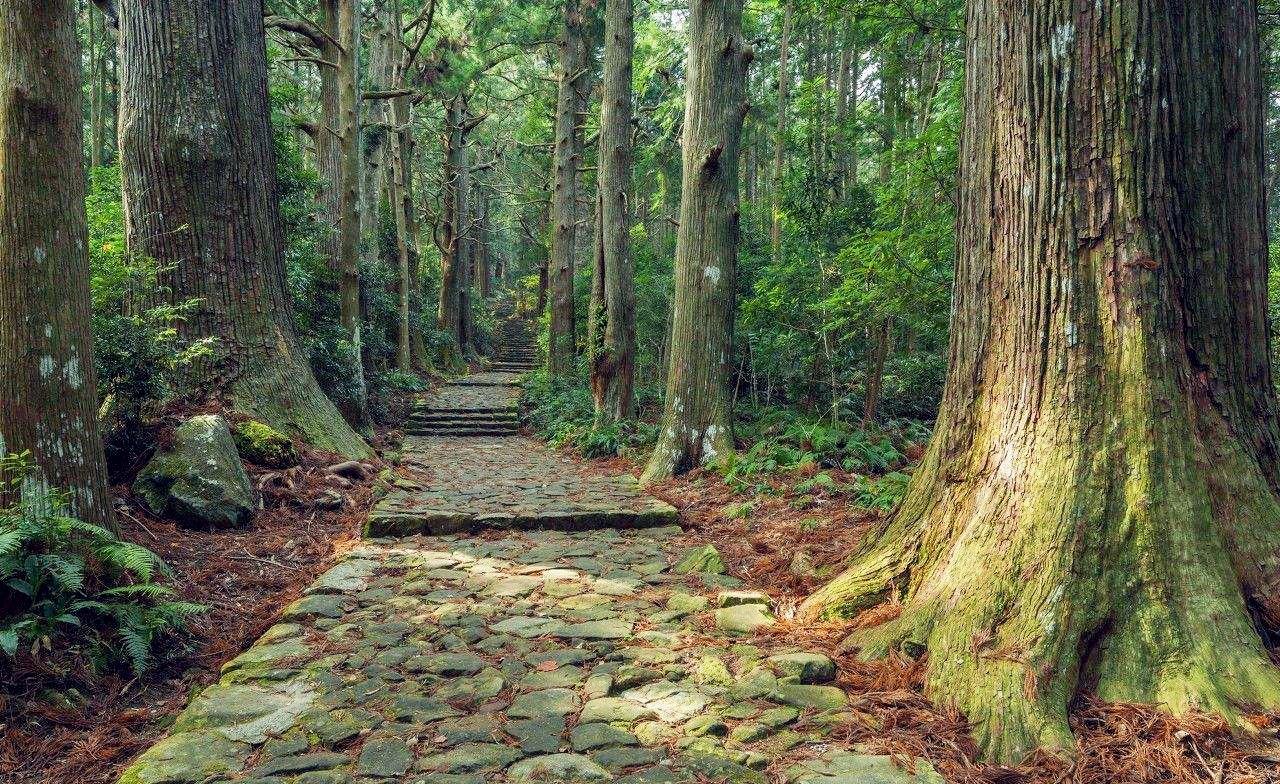日本熊野古道 探寻藏在秘境之中的朝圣之路 知乎